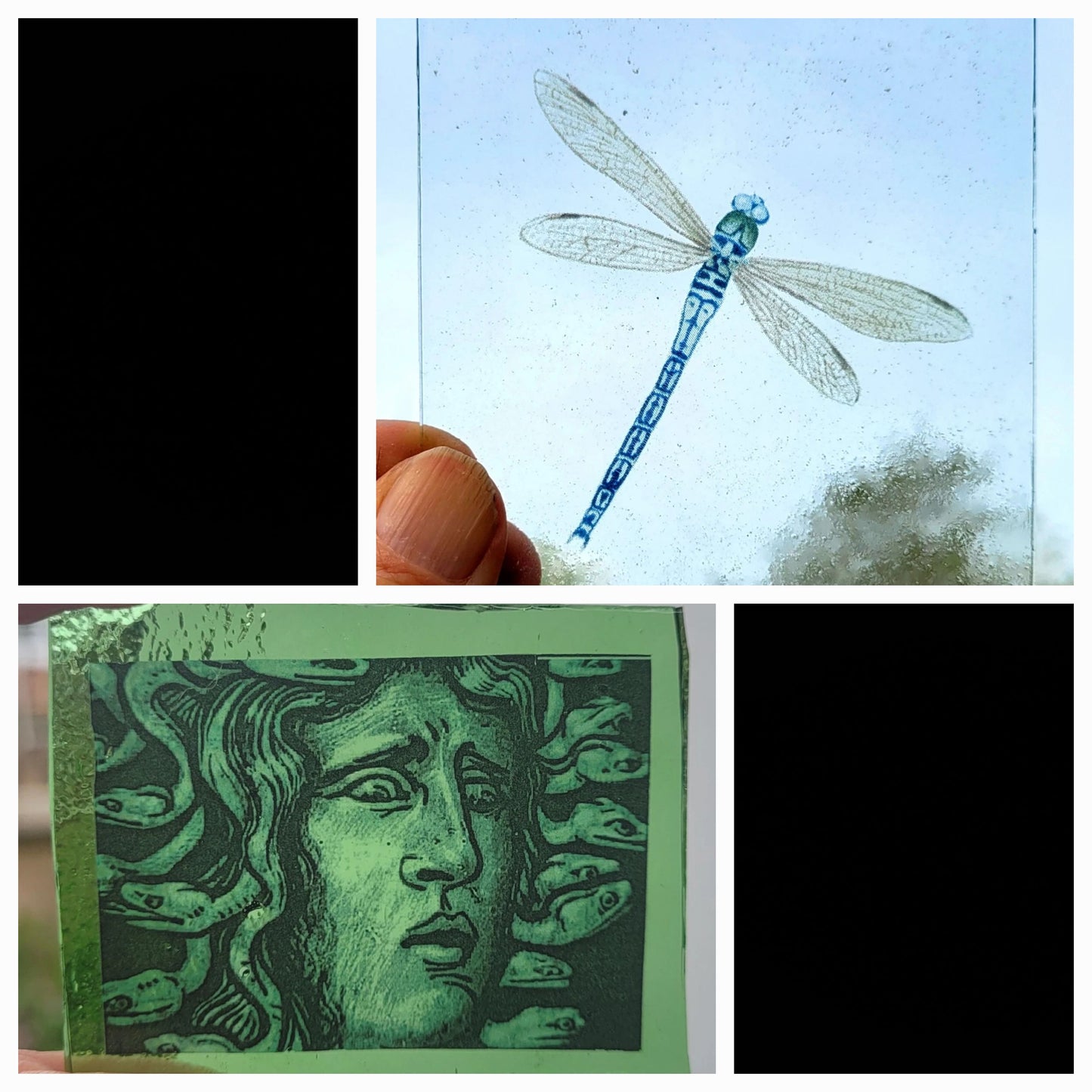 Dragonfly & Medusa 2 x pieces for stained glass