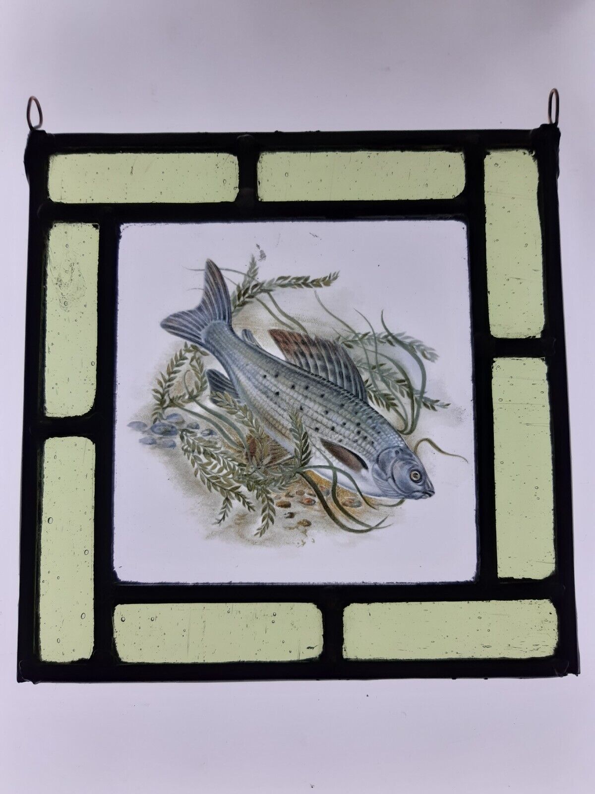 Grayling fish stained glass panel