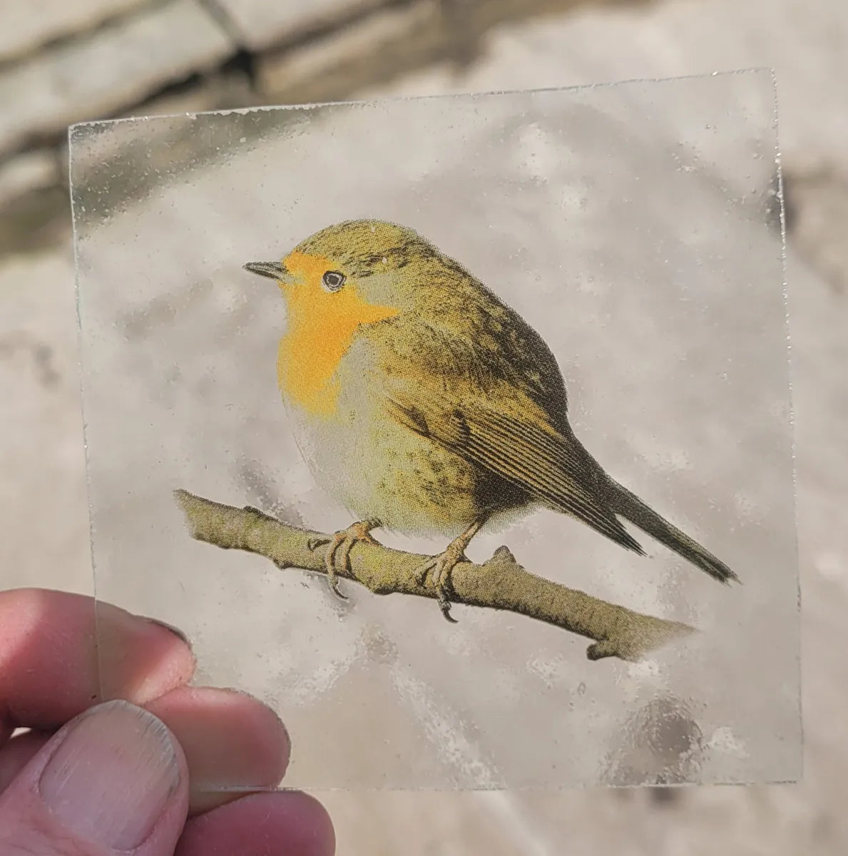 Robin bird kiln fired piece