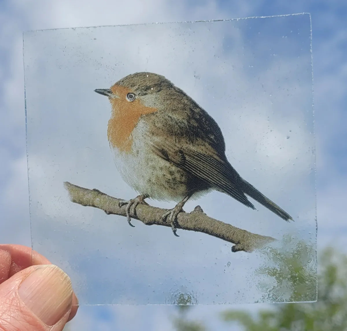 Robin bird kiln fired piece
