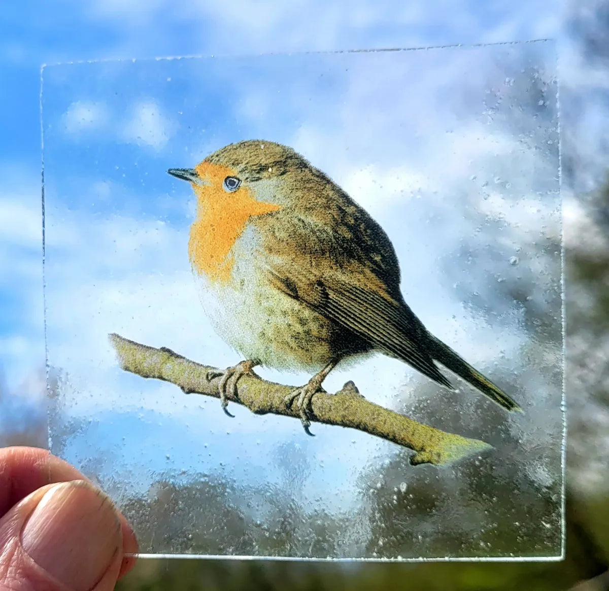 Robin bird kiln fired piece