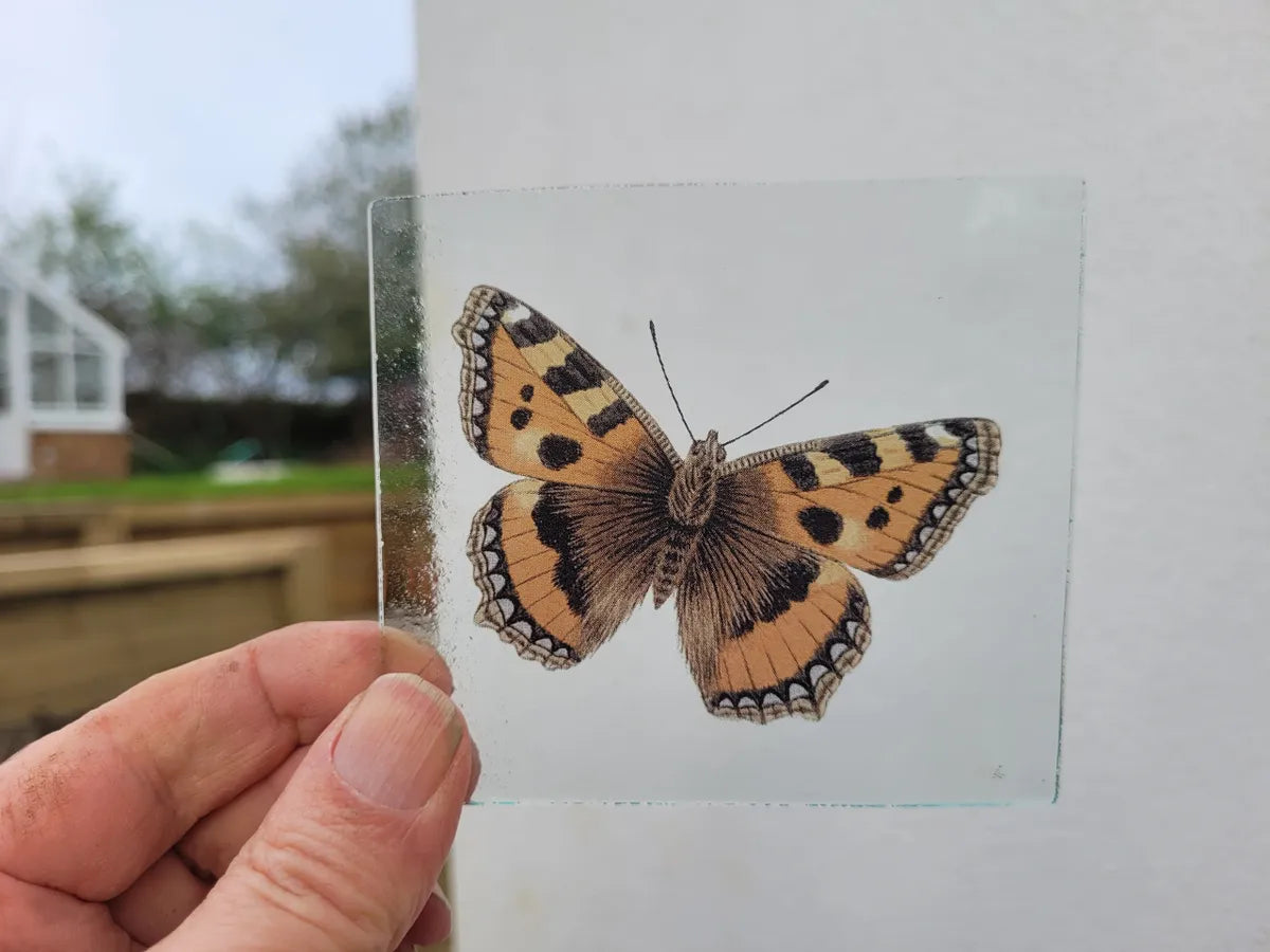 Tortoiseshell Butterfly piece for stained glass