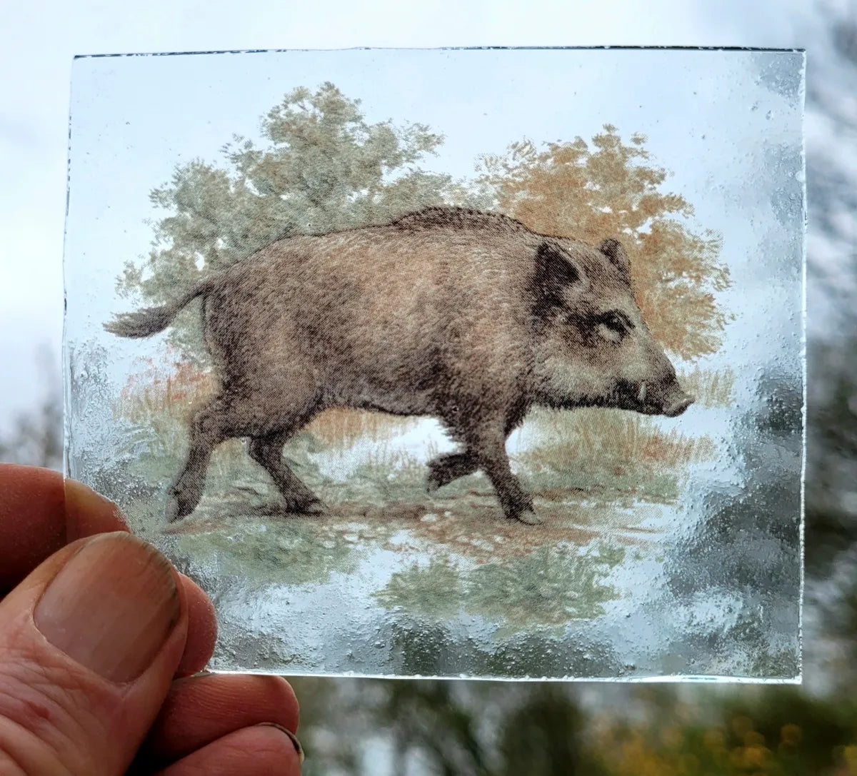 Wild Boar kiln fired piece for stained glass