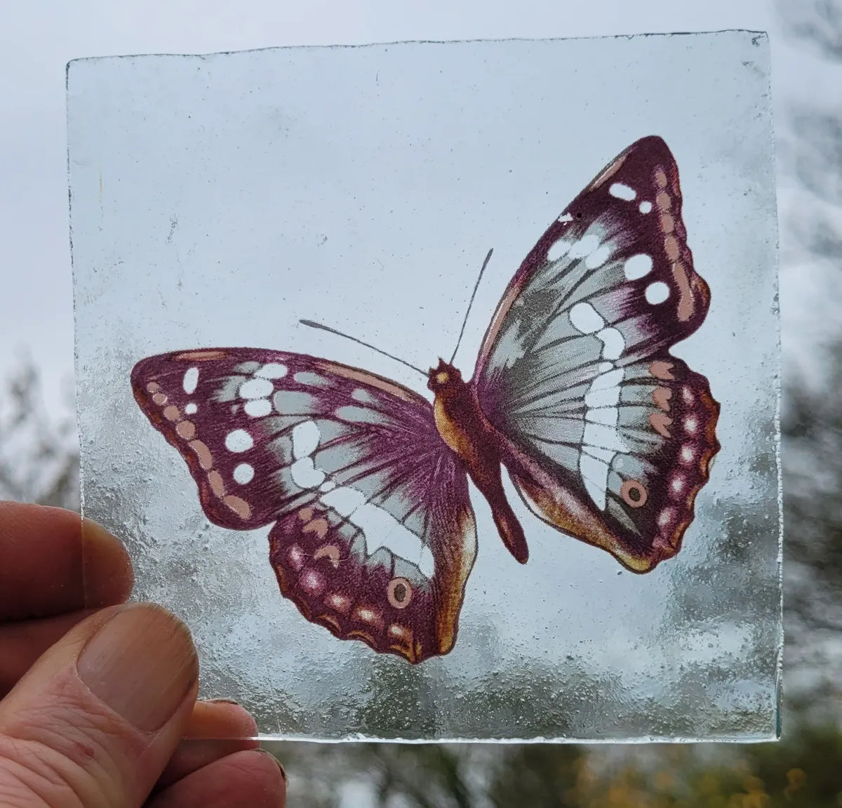 Purple Emperor Butterfly piece for stained glass
