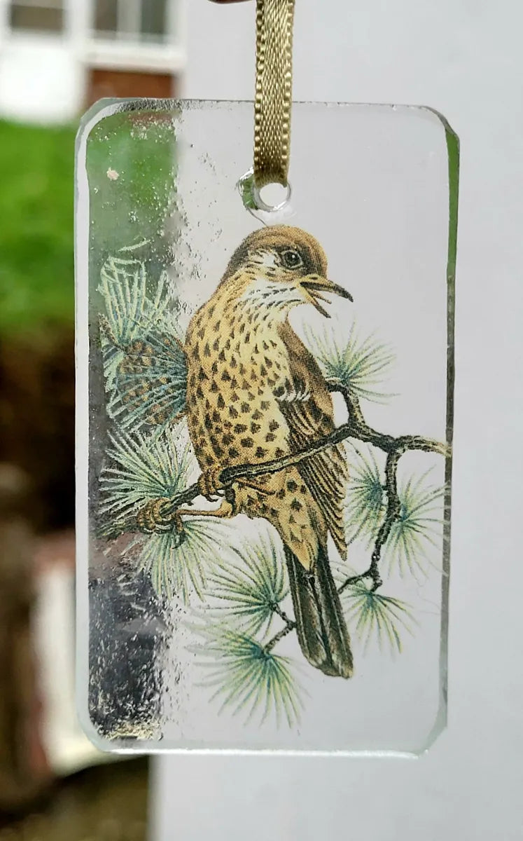 Thrush bird sun catcher