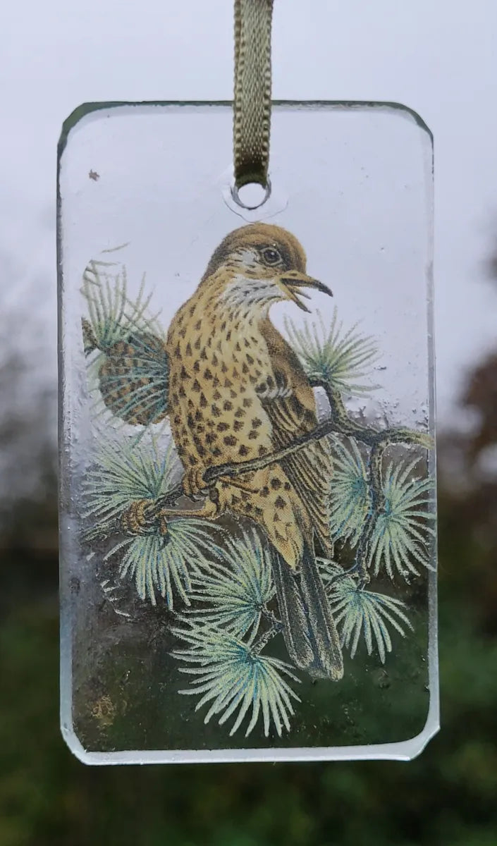 Thrush bird sun catcher