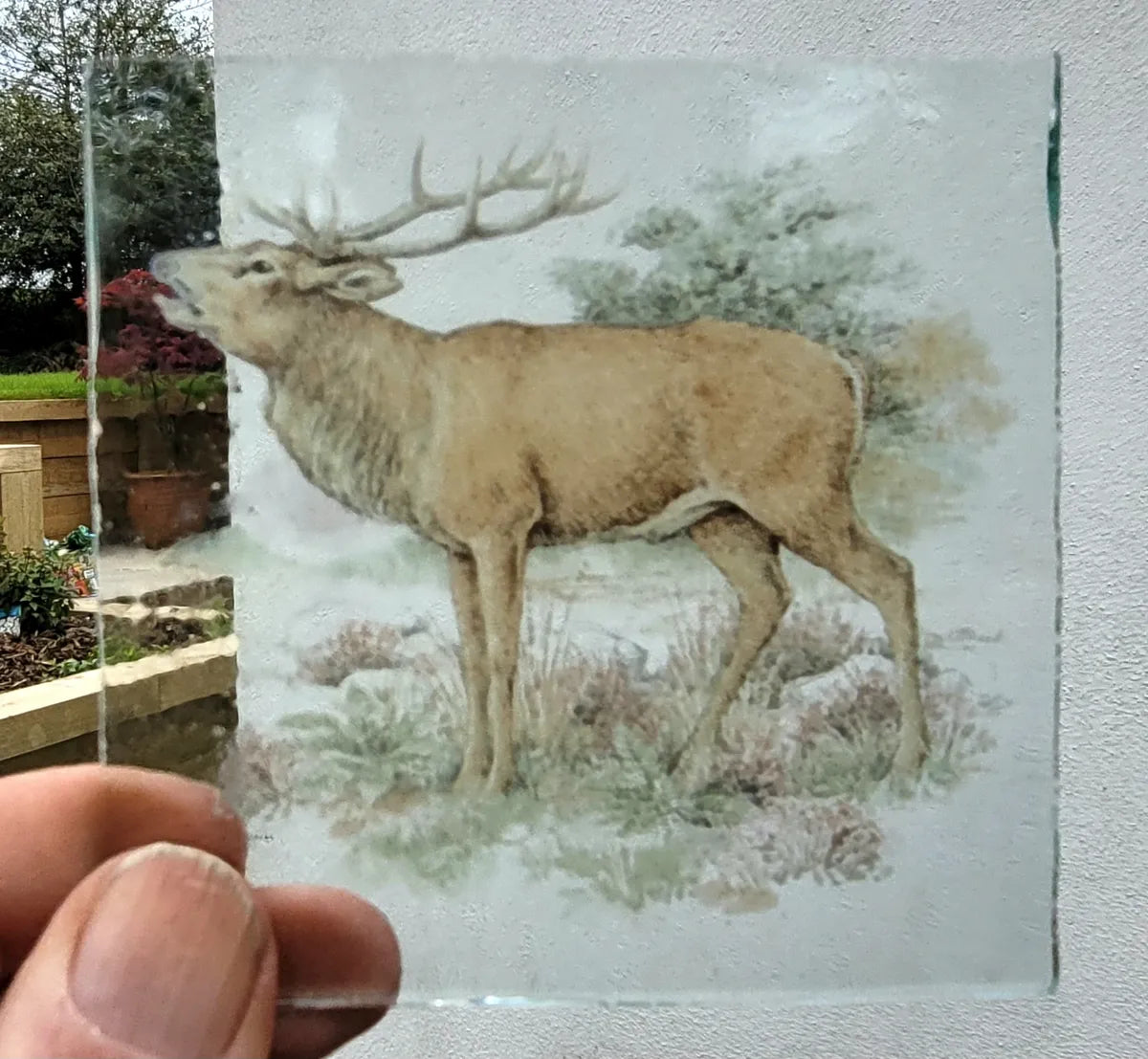 Stag kiln fired piece for stained glass