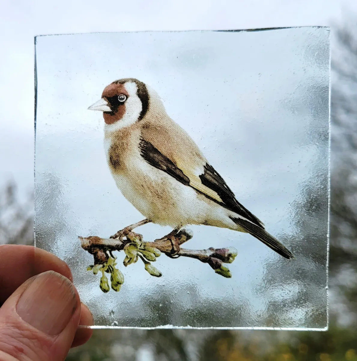 Goldfinch bird kiln fired piece