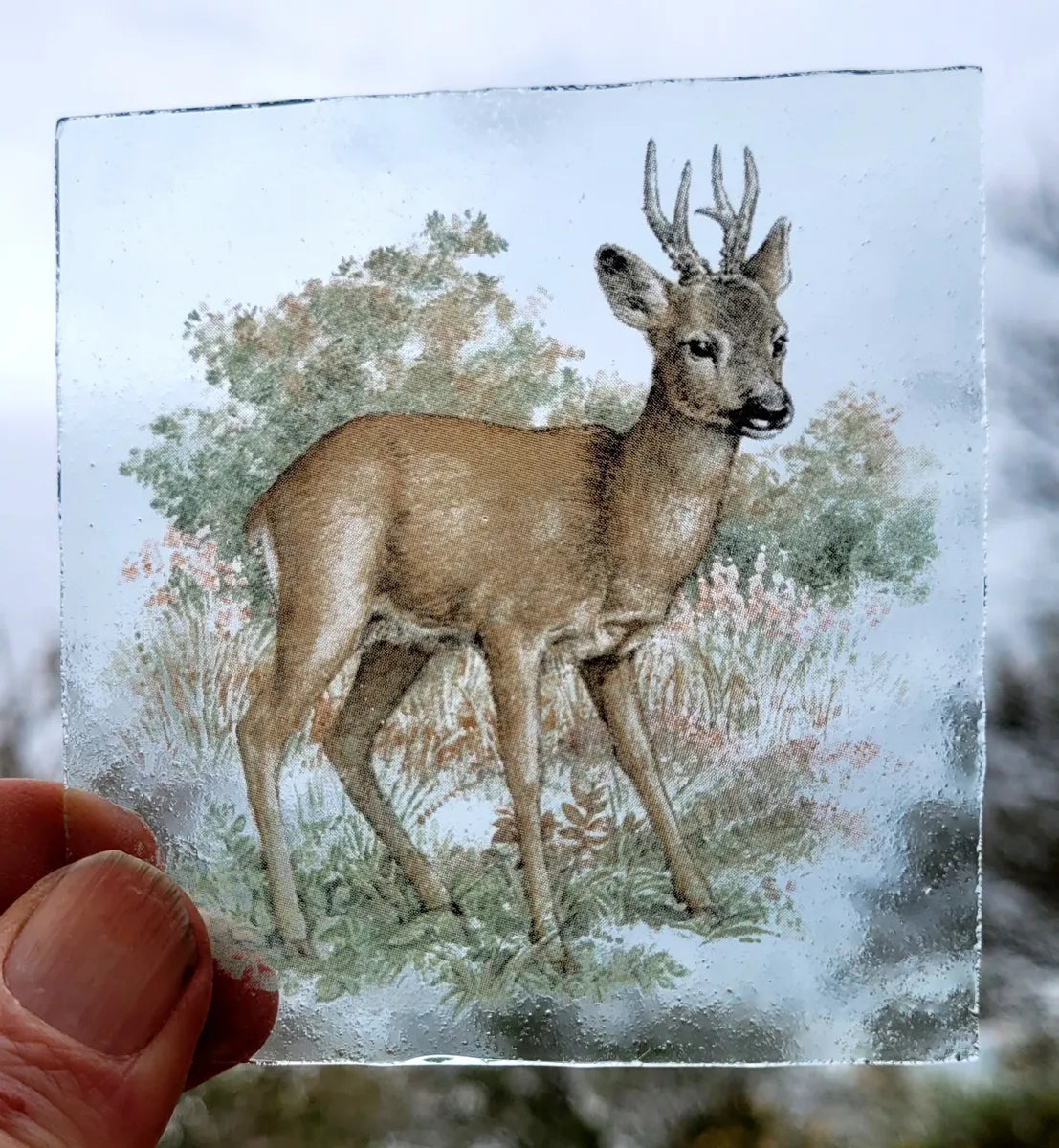 Roe Deer kiln fired piece for stained glass