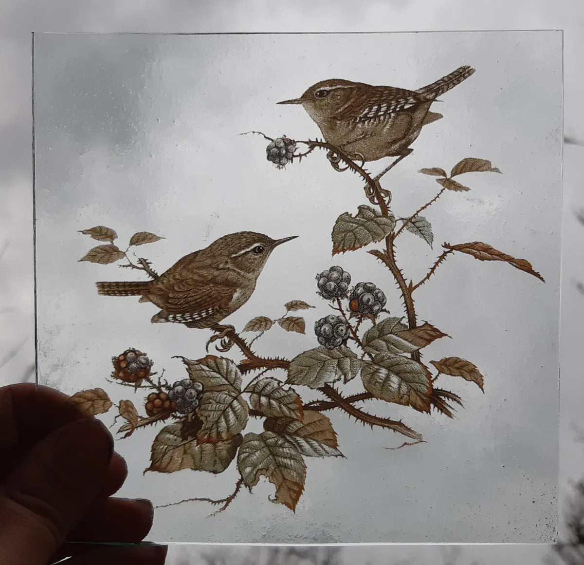 Wren birds for stained glass