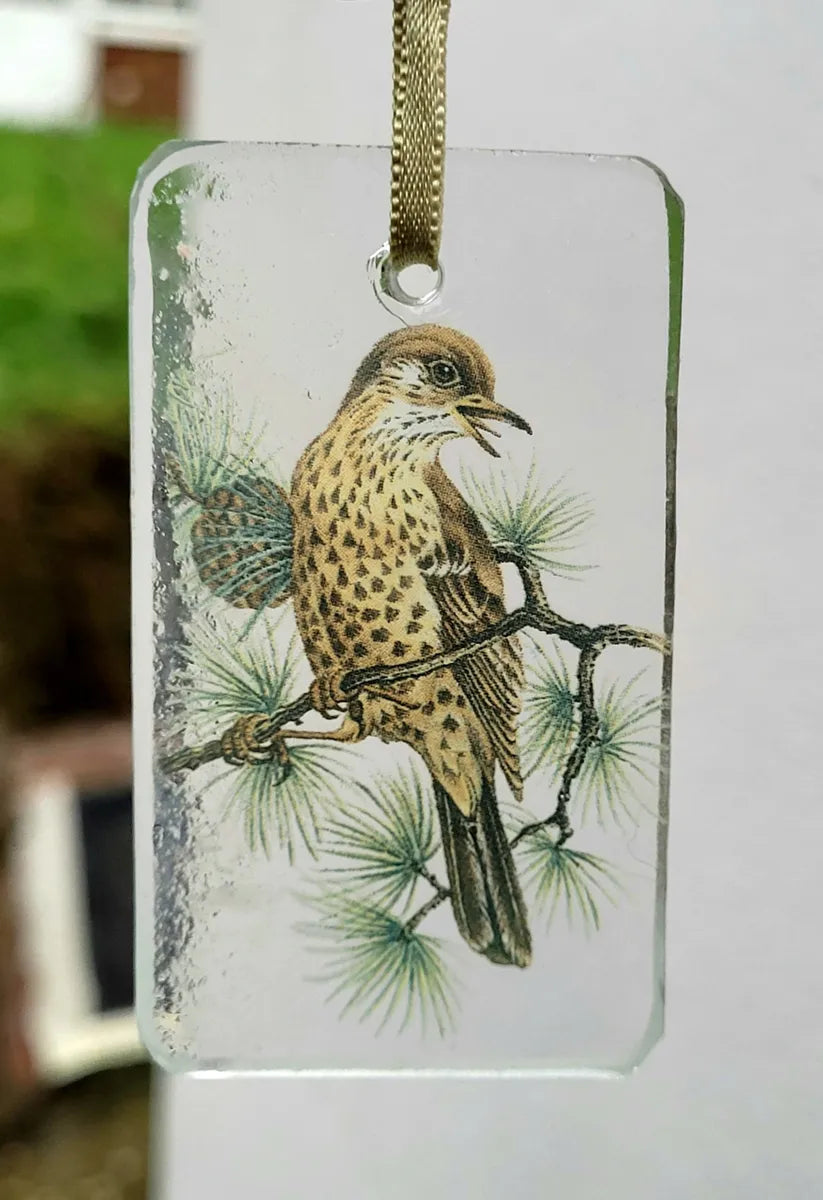 Thrush bird sun catcher