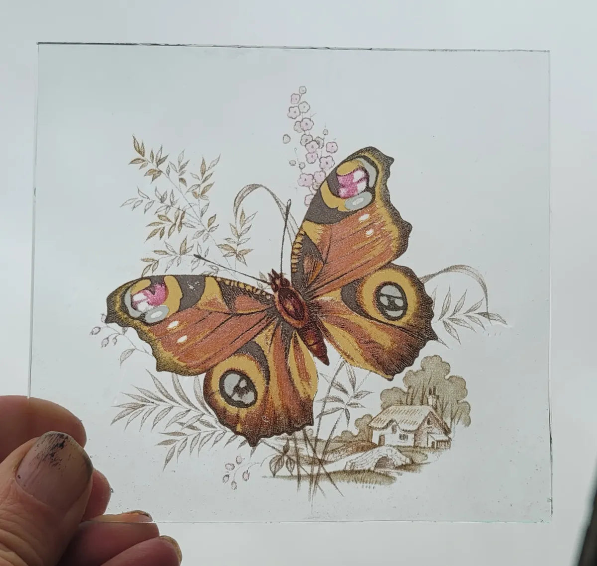 Peacock Butterfly scene piece for stained glass