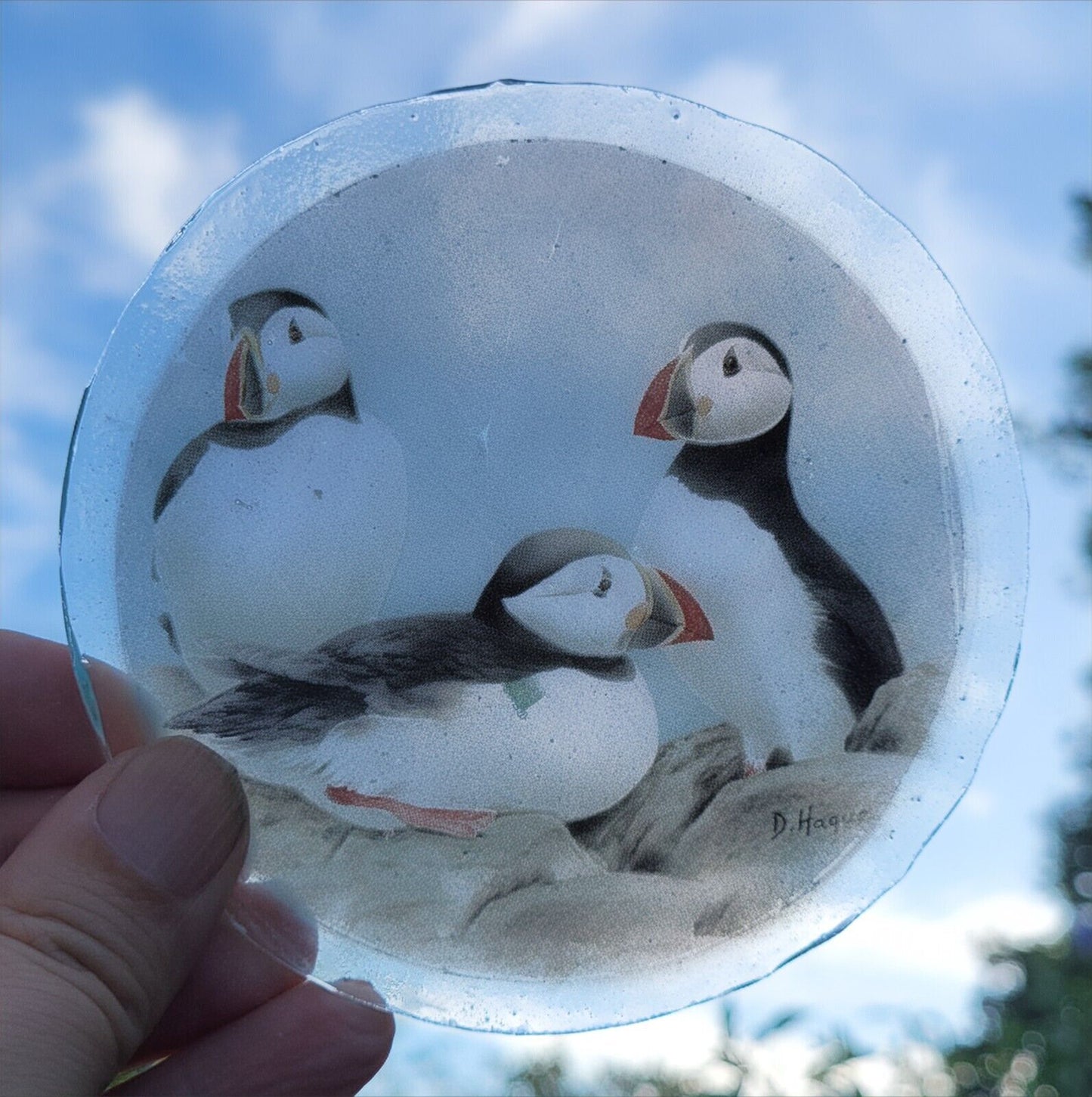 Puffin Birds roundel piece for stained glass