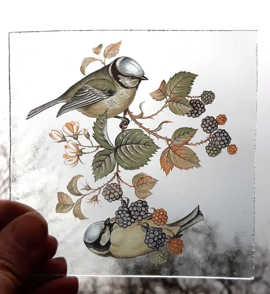 Blue Tit birds for stained glass