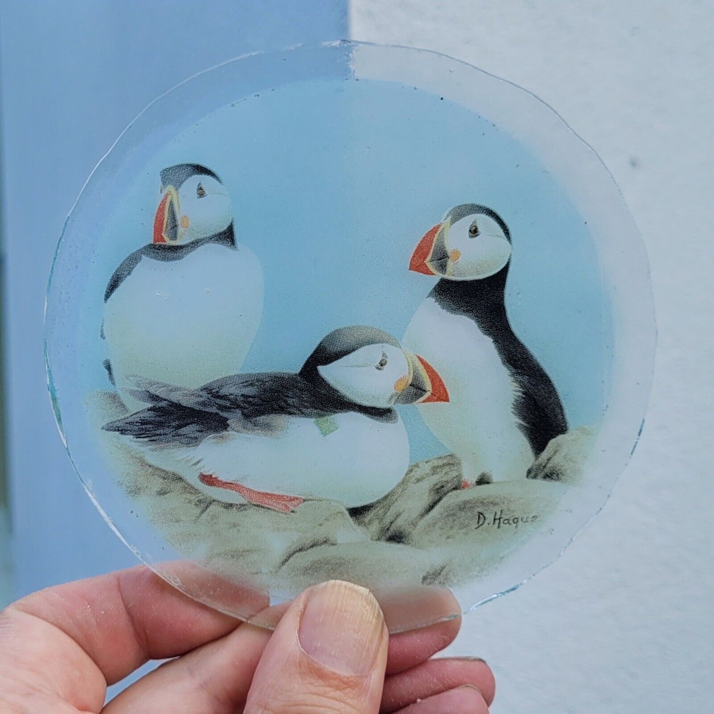 Puffin Birds roundel piece for stained glass