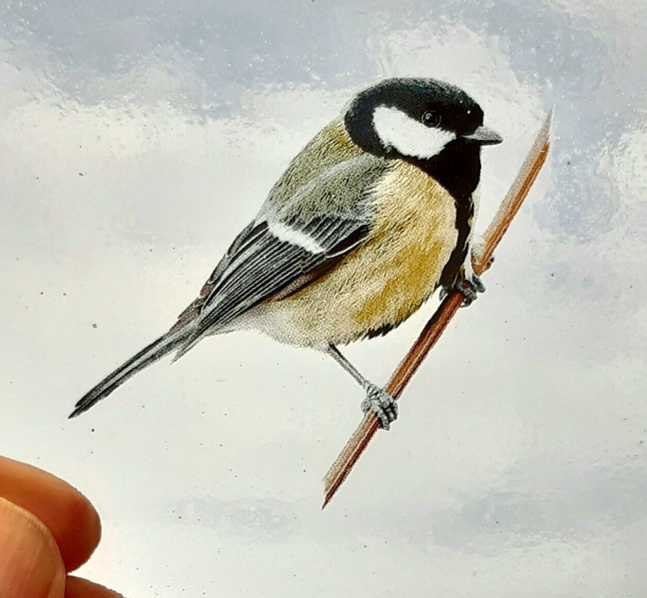 Great Tit bird for stained glass