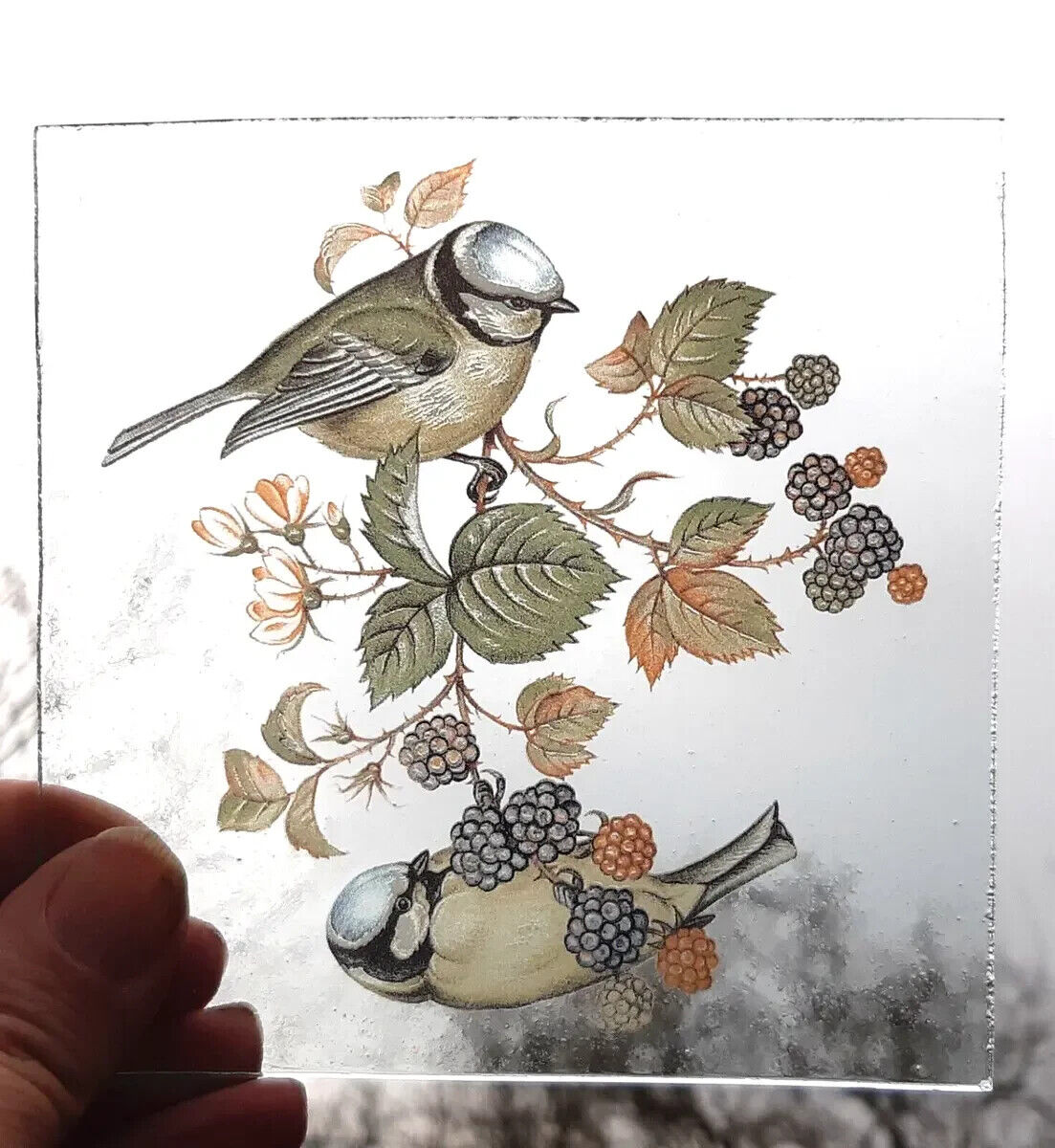 Blue Tit birds for stained glass