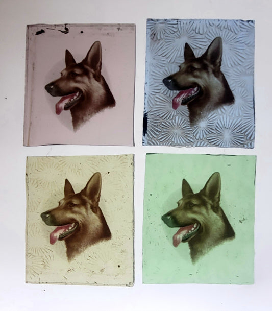 German Shepherd Dog 4 vintage pieces for stained glass Alsatian