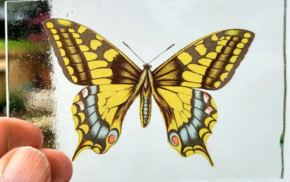 Swallow Tail Butterfly piece for stained glass 10 cm x 10 cm approximately