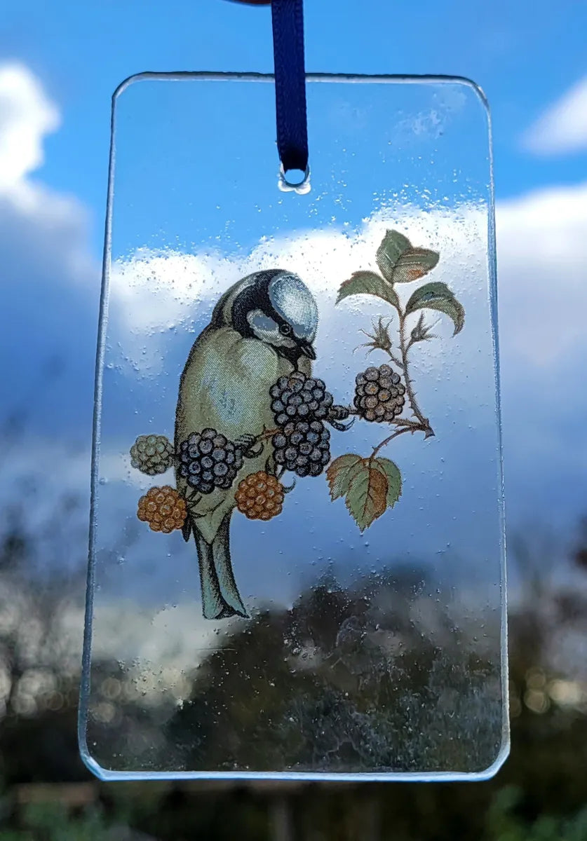 Blue Tit Sun catcher