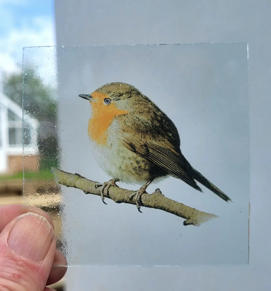 Robin bird kiln fired piece