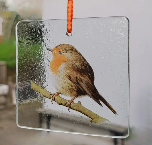 Robin bird Sun catcher