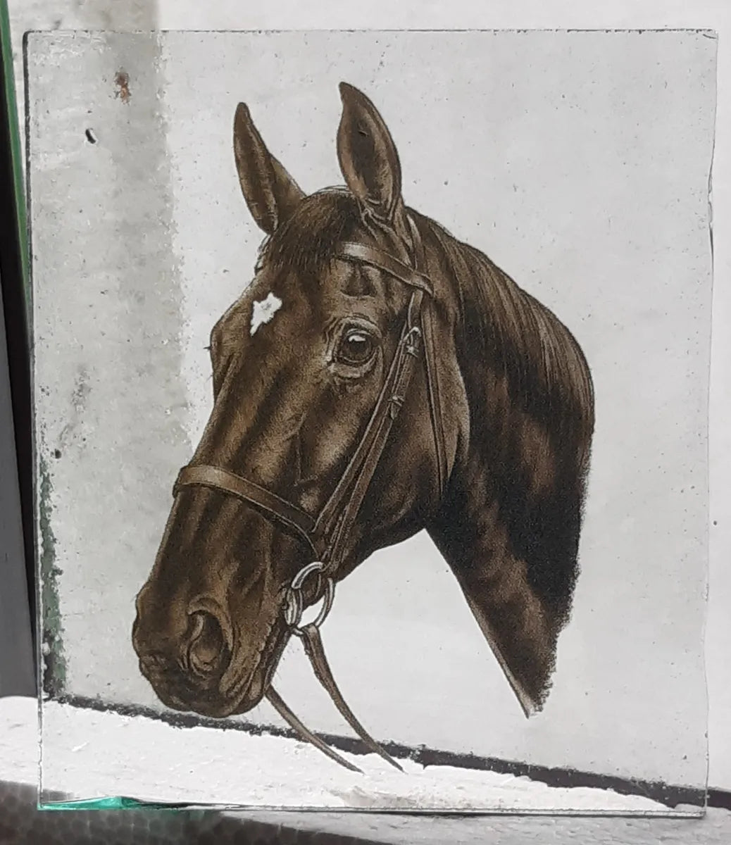 Black Horse piece for stained glass