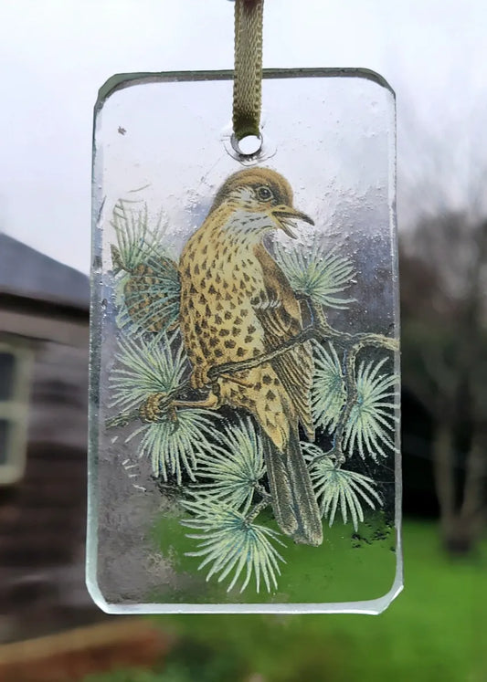 Thrush bird sun catcher