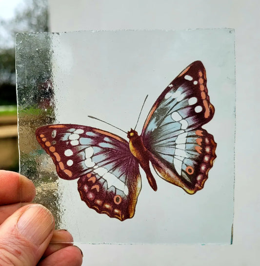 Purple Emperor Butterfly piece for stained glass