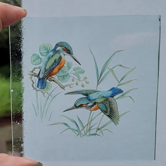 Kingfisher birds for stained glass