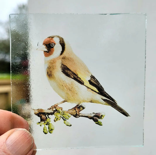 Goldfinch bird kiln fired piece