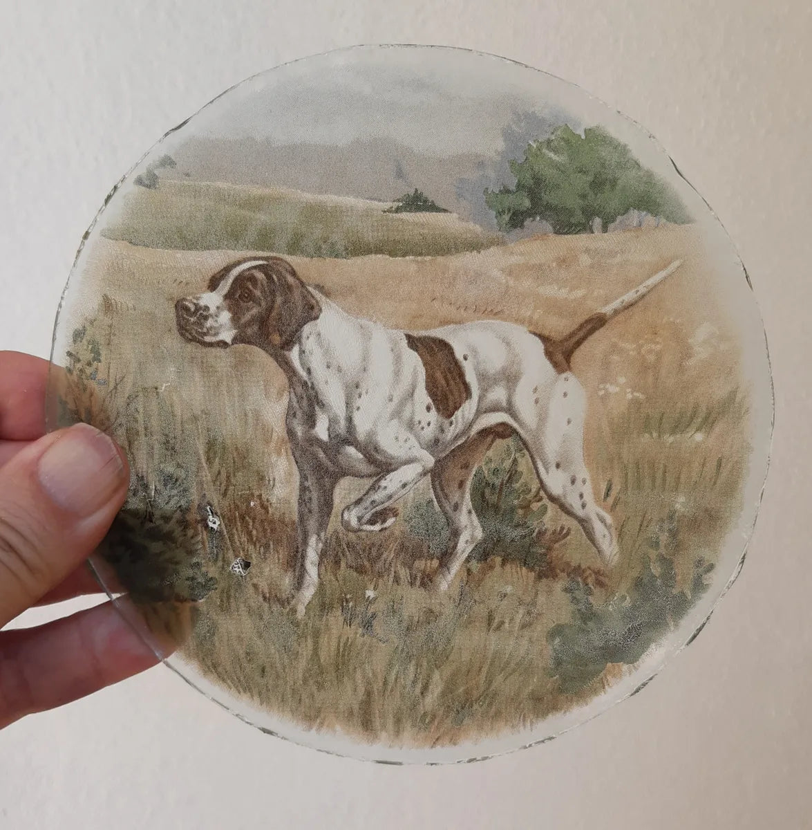 Pointer Dog roundel piece for stained glass