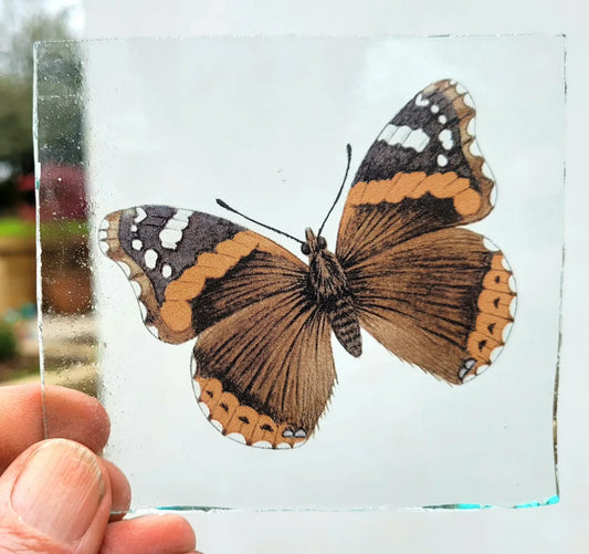 Red Admiral Butterfly piece for stained glass