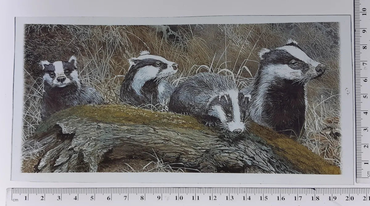 Badgers kiln fired piece for stained glass