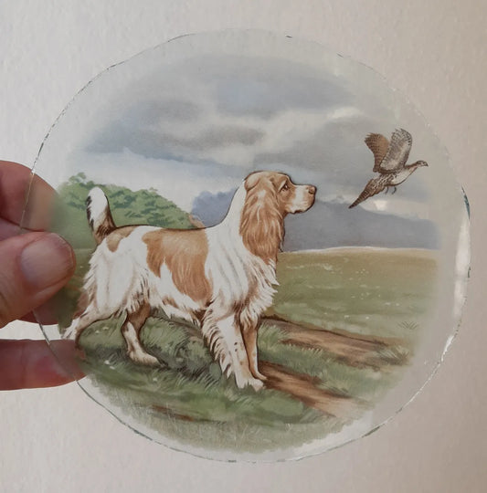 Springer Spaniel Dog roundel piece for stained glass