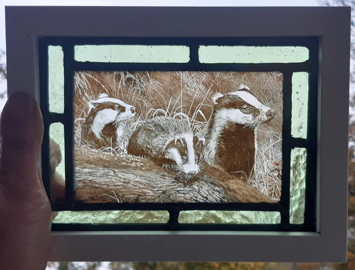 Badger stained glass panel framed