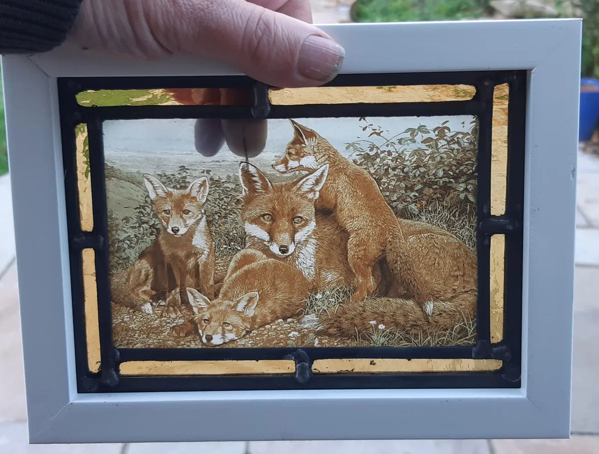 Foxes stained glass panel framed