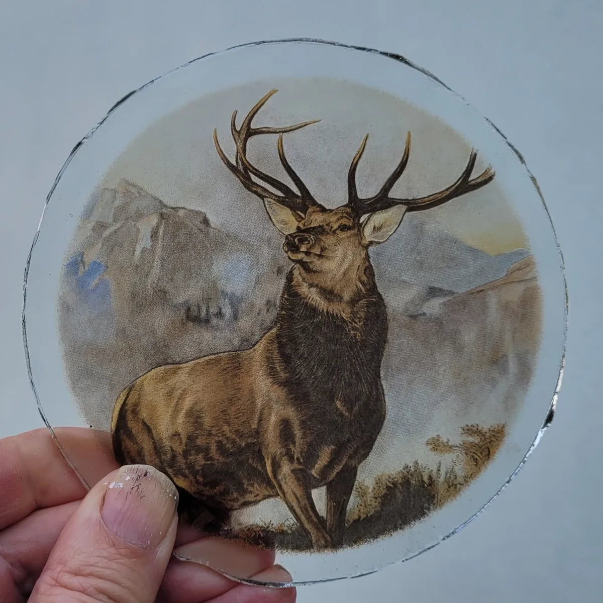 Stag roundel piece for stained glass "Monarch Of The Glen"