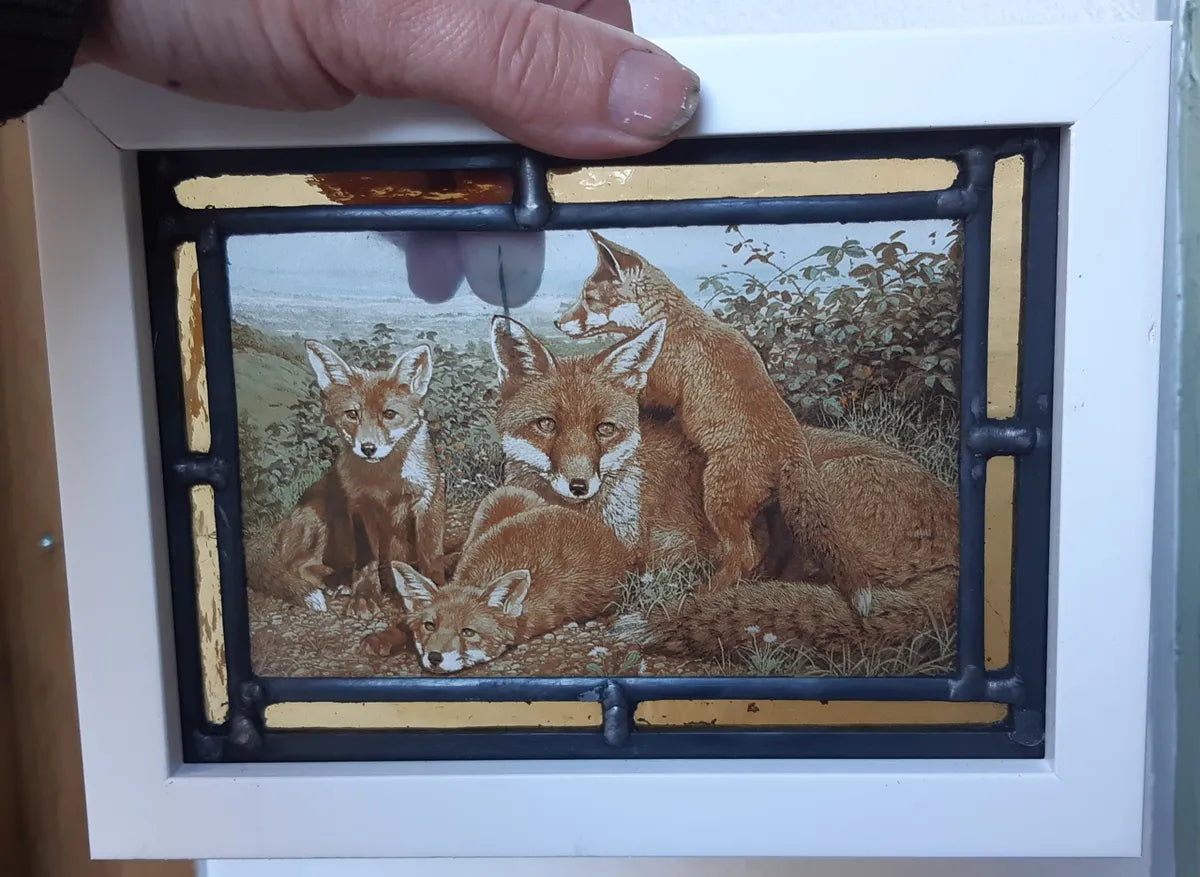 Foxes stained glass panel framed