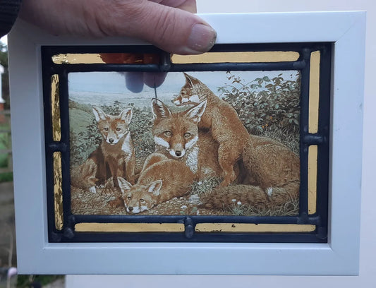 Foxes stained glass panel framed