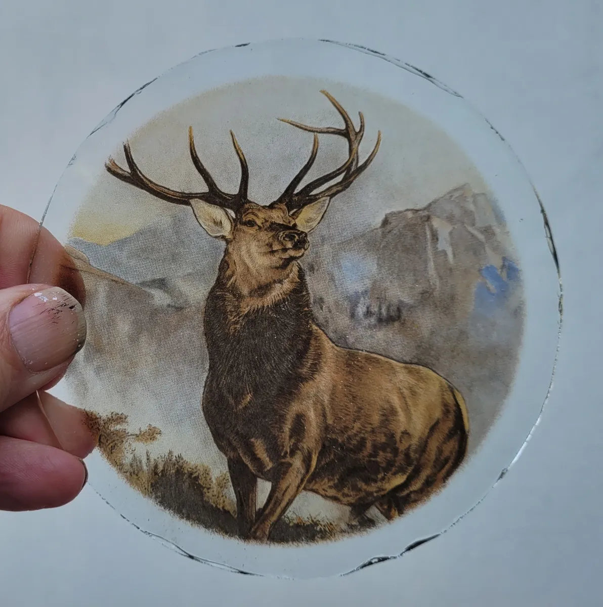 Stag roundel piece for stained glass "Monarch Of The Glen"