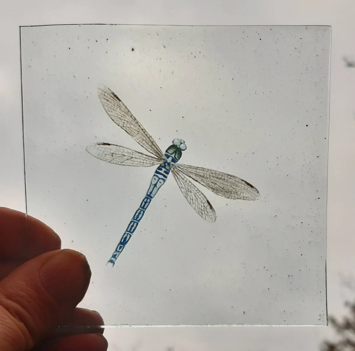 Dragonfly piece for stained glass