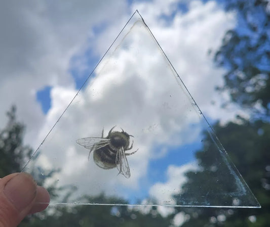 Bumble Bee piece for stained glass