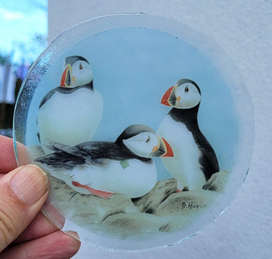 Puffin Birds roundel piece for stained glass