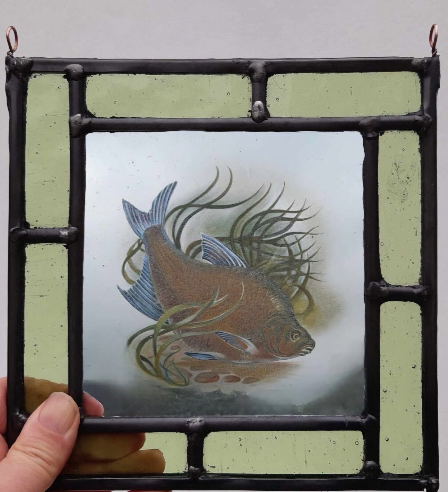 Bronze Bream fish stained glass panel