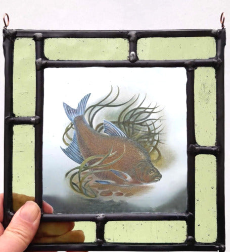 Bronze Bream fish stained glass panel